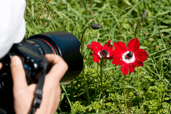 macro-fotografia-praça-urbana